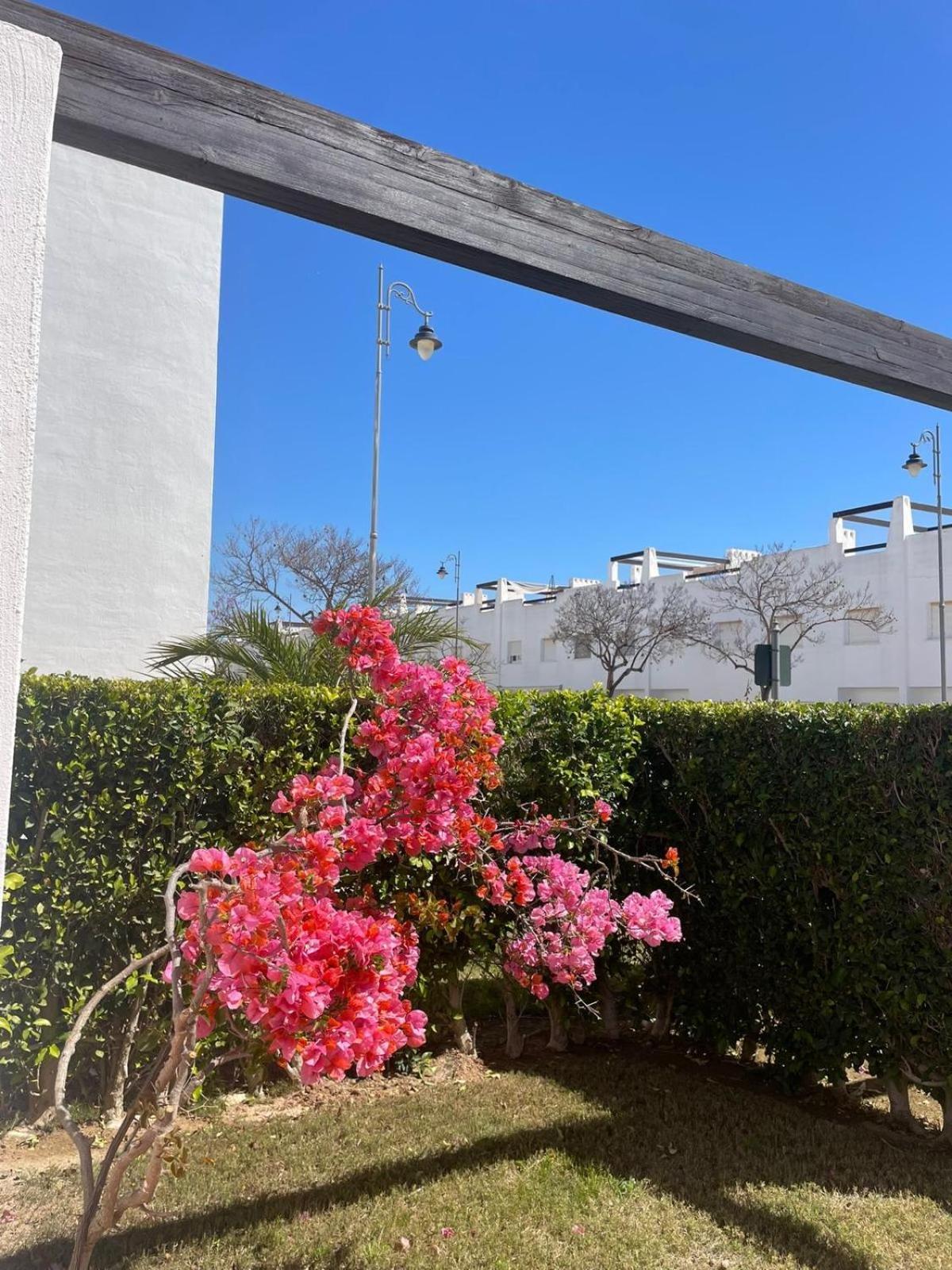 알라마 데 무르시아 Casa Luisa Jardin 10 Condado De Alhama 아파트 외부 사진